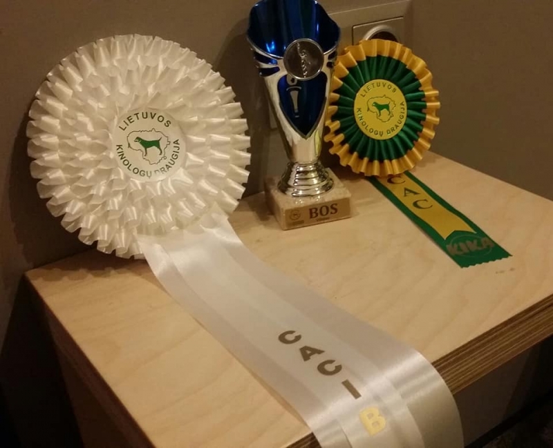 21-23.12.18 3 x CACIB Vilnius